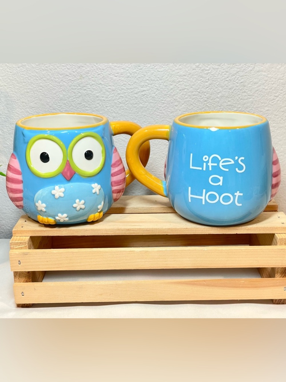 Haymm Owl Themed Blue and Orange Coffee Mugs | “Life’s a Hoot!” | GUC